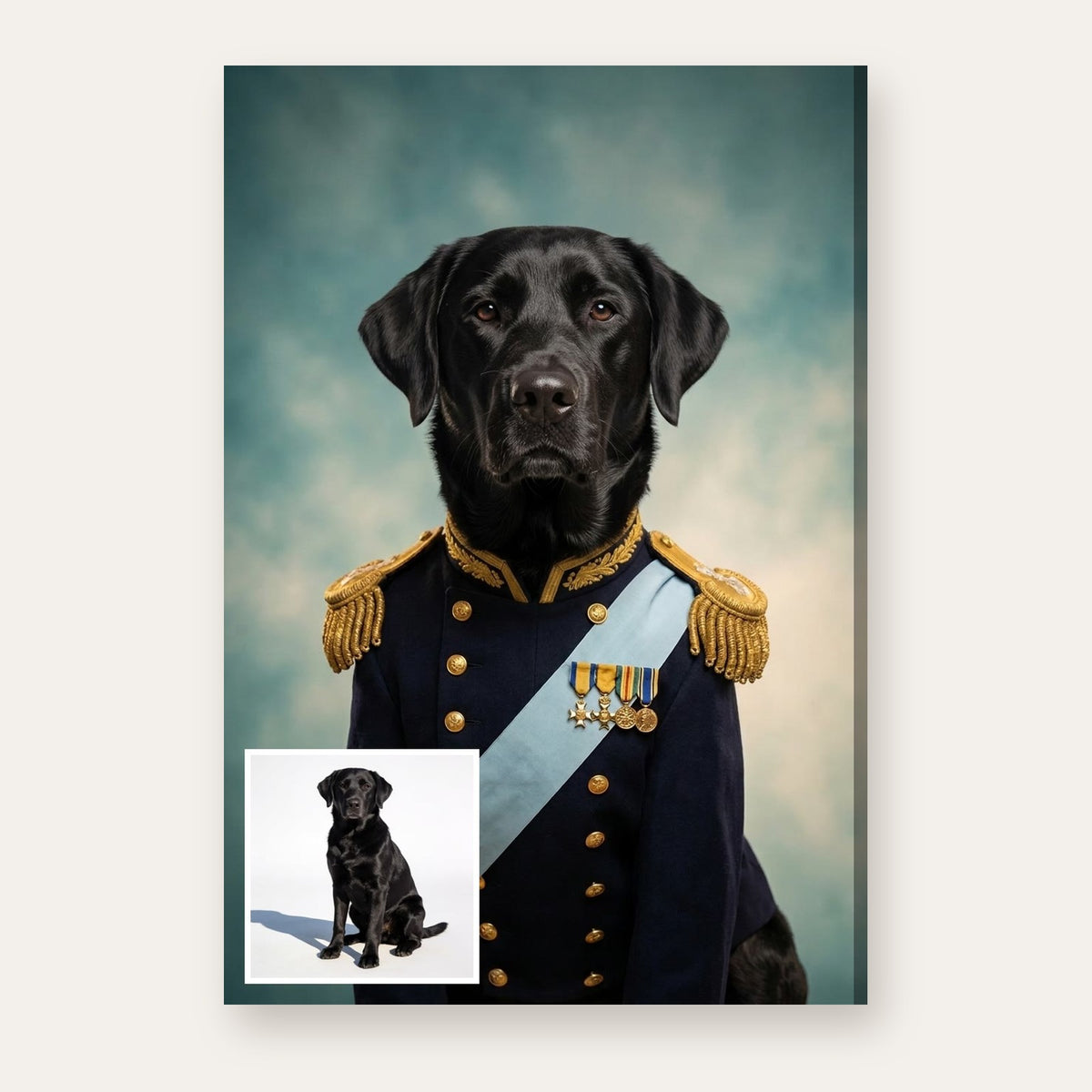 From a pet's photo to the finished Admiral portrait