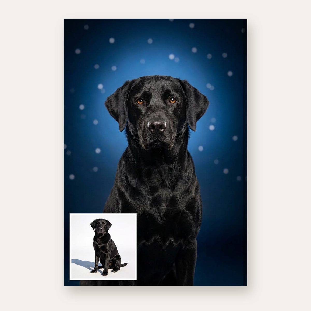 From a pet's photo to the finished Magical Blue portrait