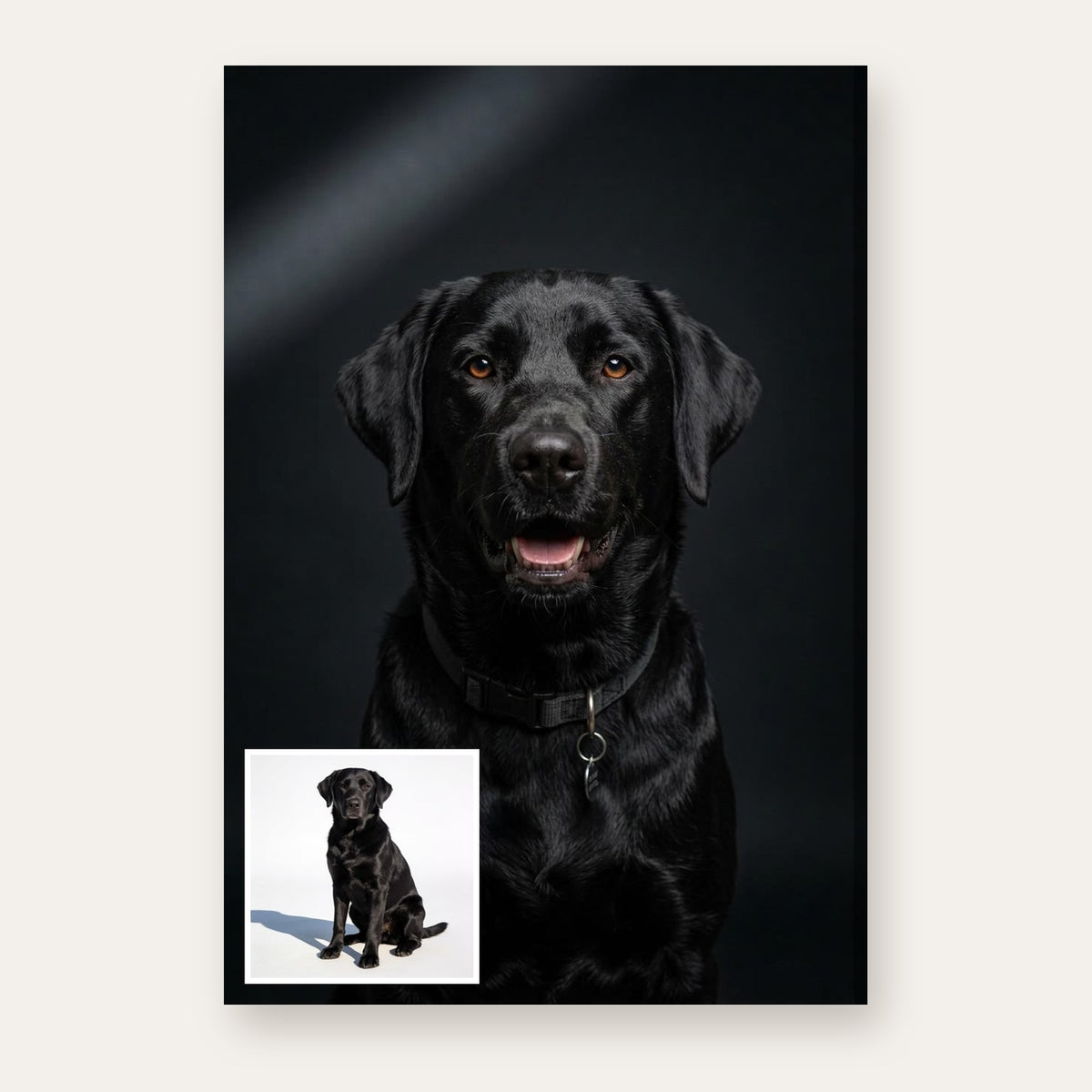 From a pet's photo to the finished Modern Charcoal portrait